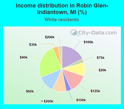 Income distribution in Robin Glen-Indiantown, MI (%)
