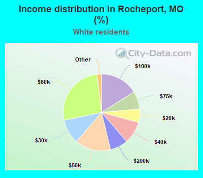 Income distribution in Rocheport, MO (%)