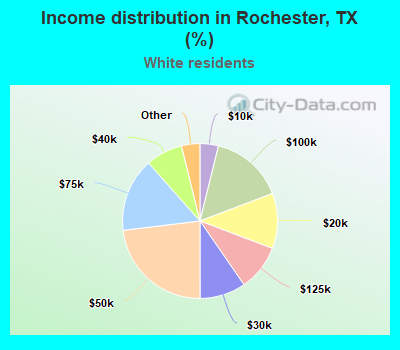 Income distribution in Rochester, TX (%)