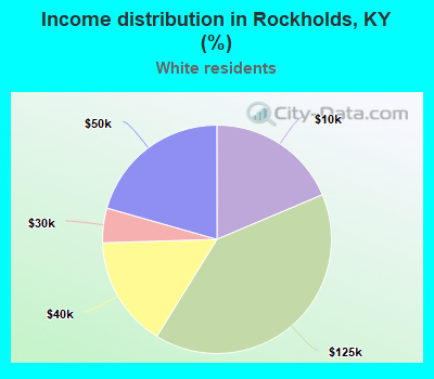 Income distribution in Rockholds, KY (%)