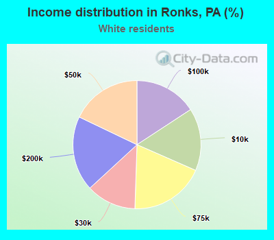 Income distribution in Ronks, PA (%)