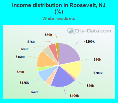 Income distribution in Roosevelt, NJ (%)