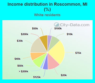 Income distribution in Roscommon, MI (%)