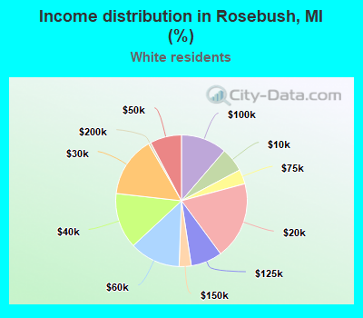 Income distribution in Rosebush, MI (%)