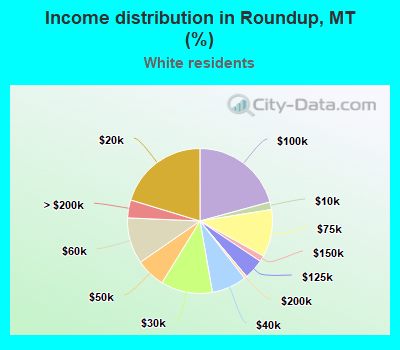 Income distribution in Roundup, MT (%)