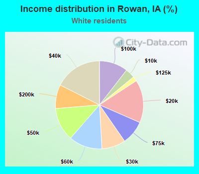 Income distribution in Rowan, IA (%)