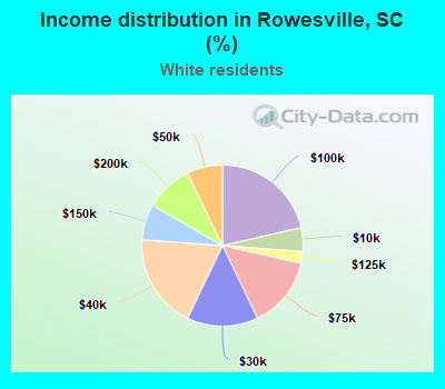 Income distribution in Rowesville, SC (%)
