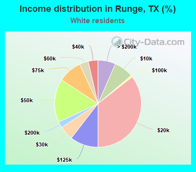 Income distribution in Runge, TX (%)