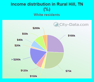 Income distribution in Rural Hill, TN (%)