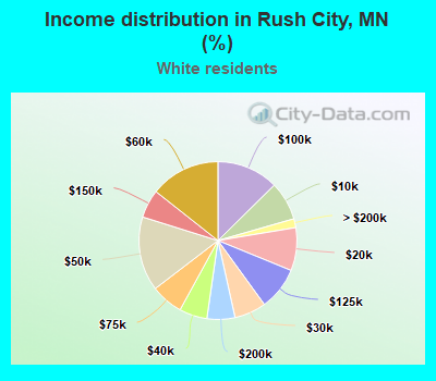 Income distribution in Rush City, MN (%)