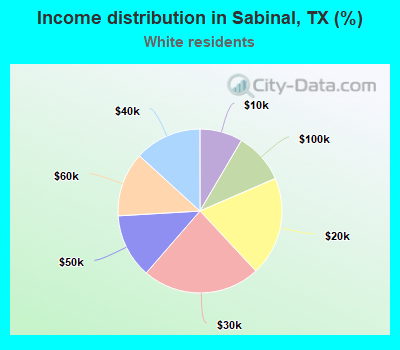 Income distribution in Sabinal, TX (%)