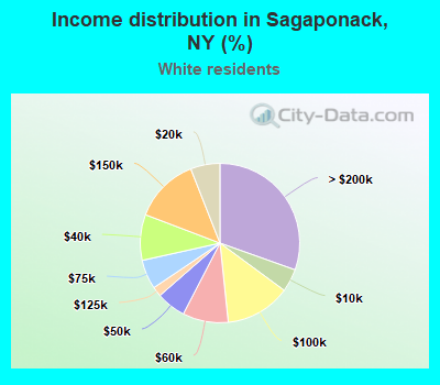 Income distribution in Sagaponack, NY (%)