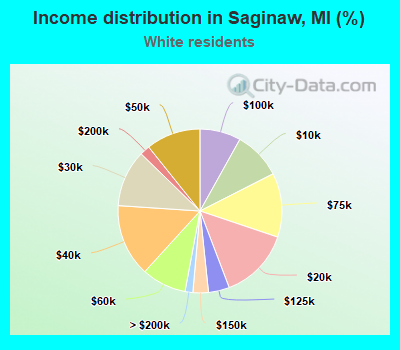 Income distribution in Saginaw, MI (%)