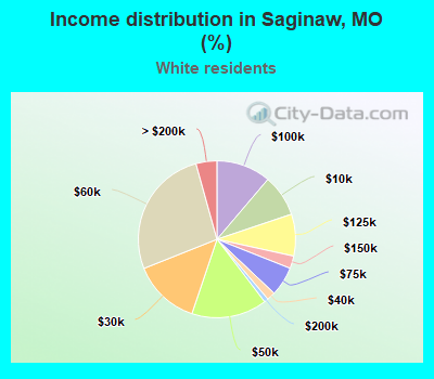 Income distribution in Saginaw, MO (%)