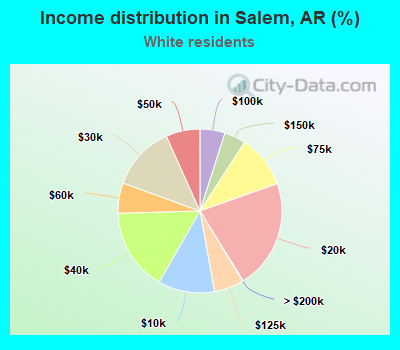 Income distribution in Salem, AR (%)