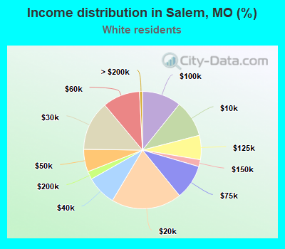 Income distribution in Salem, MO (%)