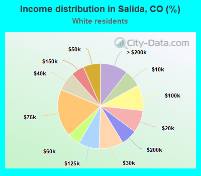 Income distribution in Salida, CO (%)