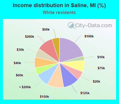 Income distribution in Saline, MI (%)