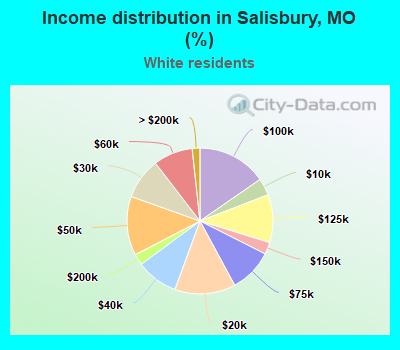 Income distribution in Salisbury, MO (%)