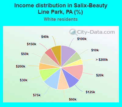 Income distribution in Salix-Beauty Line Park, PA (%)