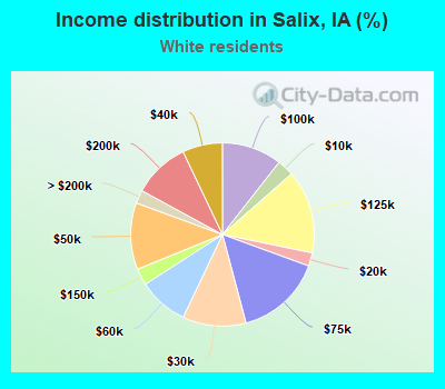 Income distribution in Salix, IA (%)