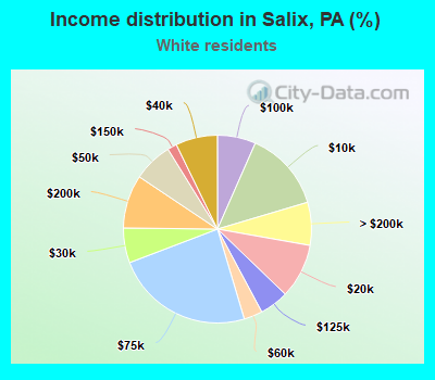 Income distribution in Salix, PA (%)