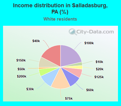 Income distribution in Salladasburg, PA (%)