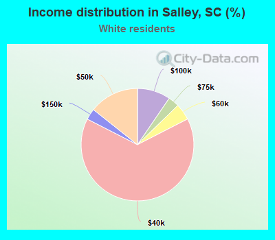 Income distribution in Salley, SC (%)