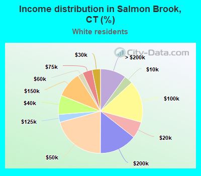 Income distribution in Salmon Brook, CT (%)