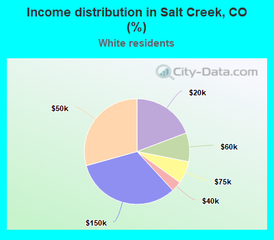 Income distribution in Salt Creek, CO (%)