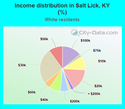 Income distribution in Salt Lick, KY (%)