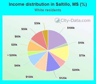 Income distribution in Saltillo, MS (%)