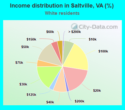 Income distribution in Saltville, VA (%)