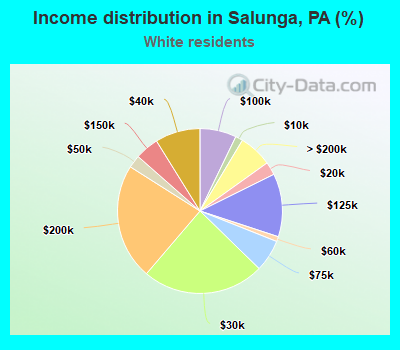Income distribution in Salunga, PA (%)