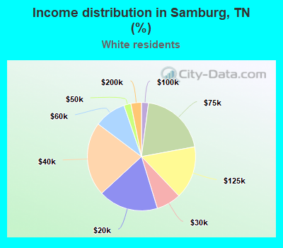 Income distribution in Samburg, TN (%)