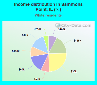 Income distribution in Sammons Point, IL (%)