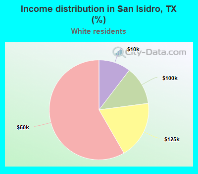 Income distribution in San Isidro, TX (%)