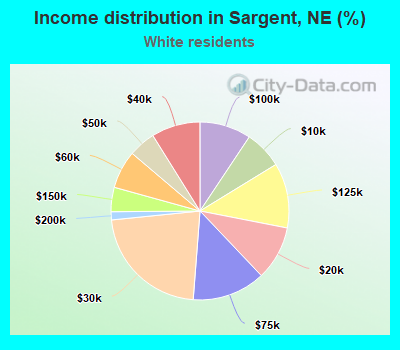 Income distribution in Sargent, NE (%)
