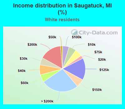 Income distribution in Saugatuck, MI (%)