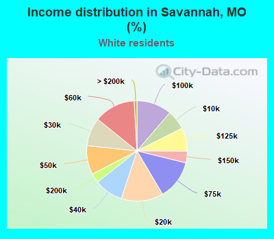 Income distribution in Savannah, MO (%)