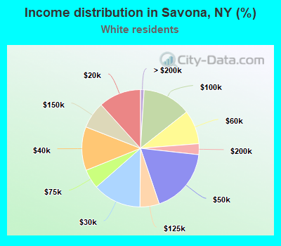 Income distribution in Savona, NY (%)