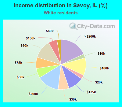 Income distribution in Savoy, IL (%)