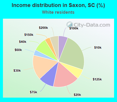 Income distribution in Saxon, SC (%)