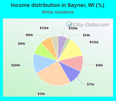 Income distribution in Sayner, WI (%)