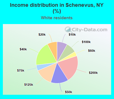 Income distribution in Schenevus, NY (%)