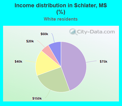 Income distribution in Schlater, MS (%)