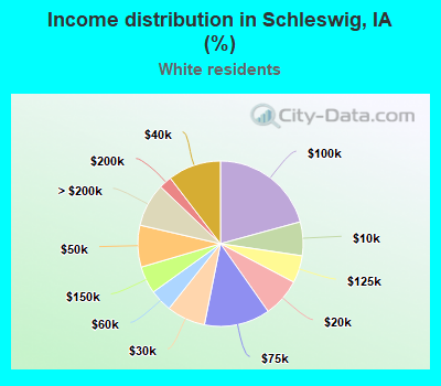 Income distribution in Schleswig, IA (%)