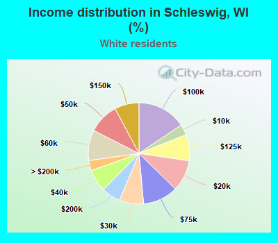 Income distribution in Schleswig, WI (%)