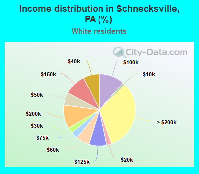 Income distribution in Schnecksville, PA (%)
