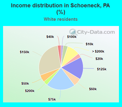 Income distribution in Schoeneck, PA (%)